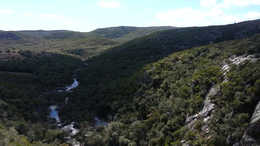 Motomaster (AT) Total Terrain A/T2 - image 8 from the video